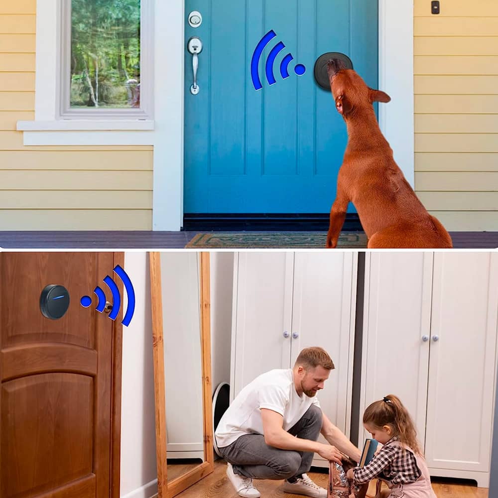 dog doorbell6