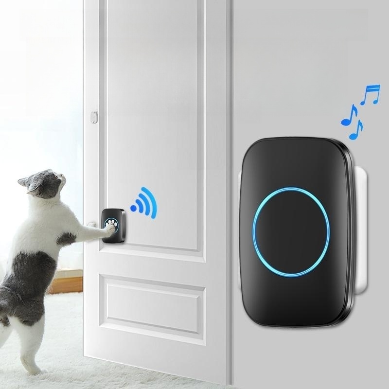 cat ring a doorbell