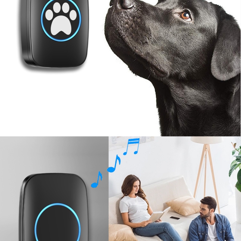 the music of dog doorbell reminds owners to open the door 