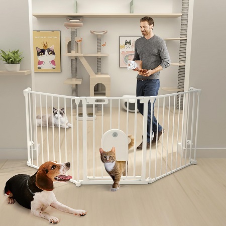 pets and owners in a room