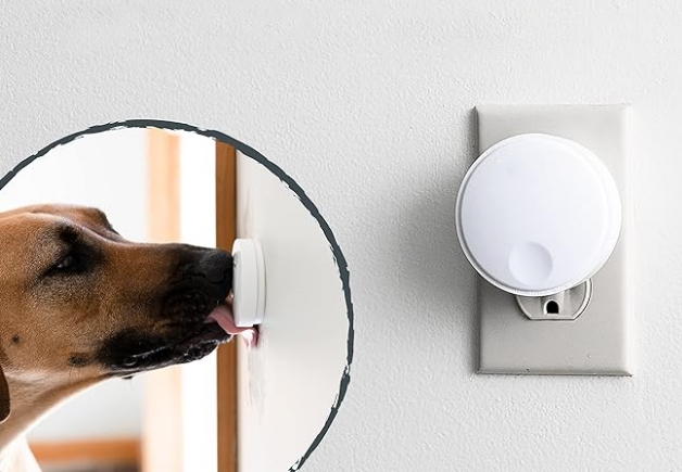doorbell for dogs