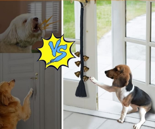 dog doorbell use area